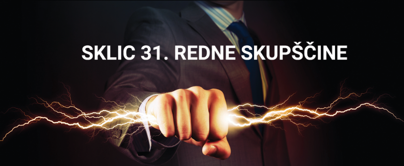 SKLIC 31. SKUPŠČINE